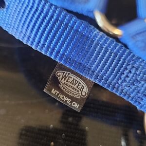 Weaver Nylon Livestock Halter - Blue Foal